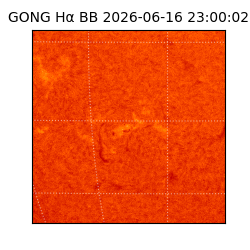 gong - 2026-06-16T23:00:02