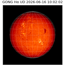 gong - 2026-06-16T10:02:02
