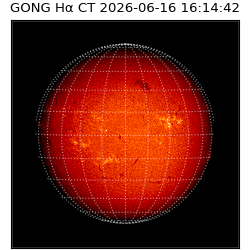 gong - 2026-06-16T16:14:42