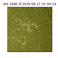 saia - 2026-06-17T01:00:14.122000