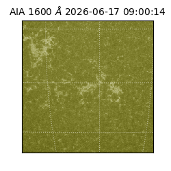 saia - 2026-06-17T09:00:14.123000