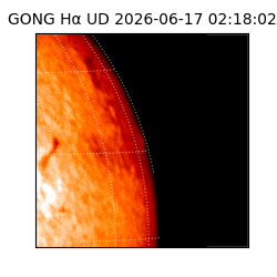 gong - 2026-06-17T02:18:02
