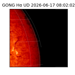 gong - 2026-06-17T08:02:02
