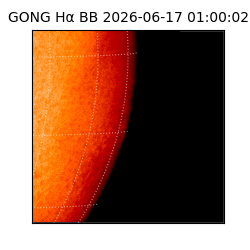 gong - 2026-06-17T01:00:02