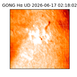 gong - 2026-06-17T02:18:02