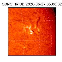 gong - 2026-06-17T05:00:02