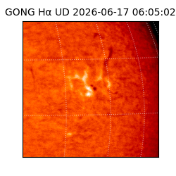 gong - 2026-06-17T06:05:02