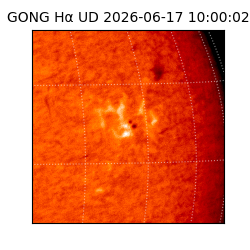 gong - 2026-06-17T10:00:02