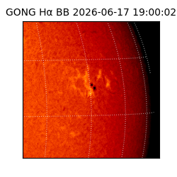 gong - 2026-06-17T19:00:02