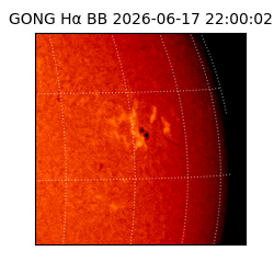 gong - 2026-06-17T22:00:02