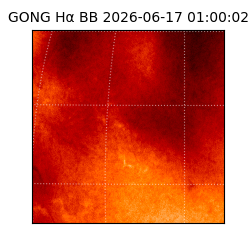 gong - 2026-06-17T01:00:02