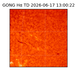 gong - 2026-06-17T13:00:22