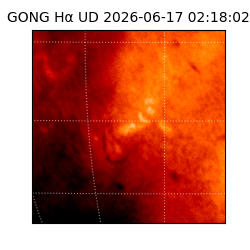 gong - 2026-06-17T02:18:02
