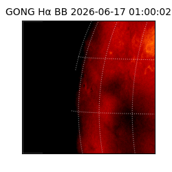 gong - 2026-06-17T01:00:02