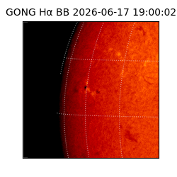 gong - 2026-06-17T19:00:02