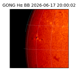 gong - 2026-06-17T20:00:02