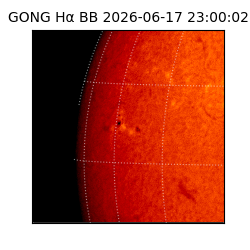 gong - 2026-06-17T23:00:02