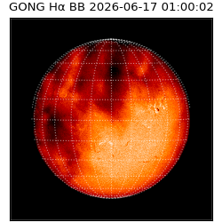 gong - 2026-06-17T01:00:02