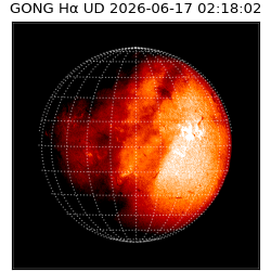 gong - 2026-06-17T02:18:02