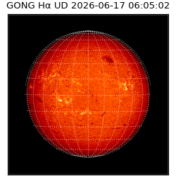 gong - 2026-06-17T06:05:02