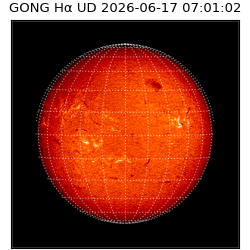 gong - 2026-06-17T07:01:02