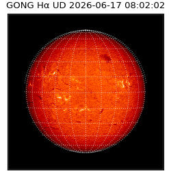 gong - 2026-06-17T08:02:02