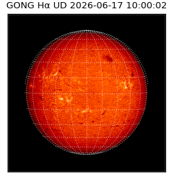 gong - 2026-06-17T10:00:02