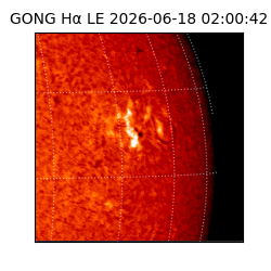 gong - 2026-06-18T02:00:42