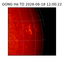 gong - 2026-06-18T12:00:22