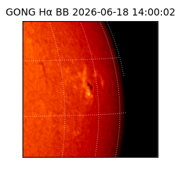 gong - 2026-06-18T14:00:02