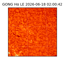 gong - 2026-06-18T02:00:42