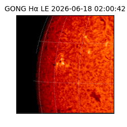gong - 2026-06-18T02:00:42