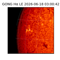 gong - 2026-06-18T03:00:42