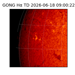 gong - 2026-06-18T09:00:22