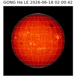 gong - 2026-06-18T02:00:42