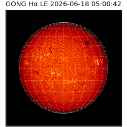 gong - 2026-06-18T05:00:42
