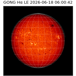 gong - 2026-06-18T06:00:42