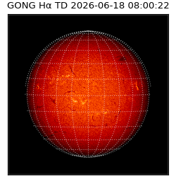 gong - 2026-06-18T08:00:22
