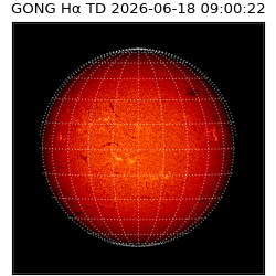 gong - 2026-06-18T09:00:22