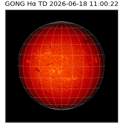 gong - 2026-06-18T11:00:22