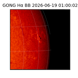 gong - 2026-06-19T01:00:02