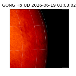 gong - 2026-06-19T03:03:02