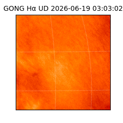 gong - 2026-06-19T03:03:02
