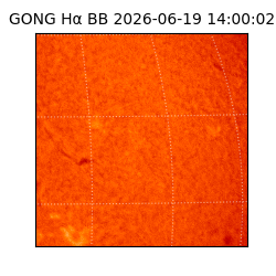 gong - 2026-06-19T14:00:02