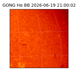 gong - 2026-06-19T21:00:02