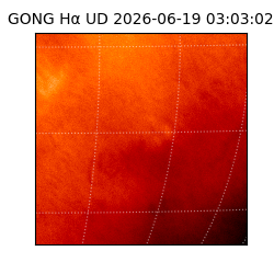 gong - 2026-06-19T03:03:02