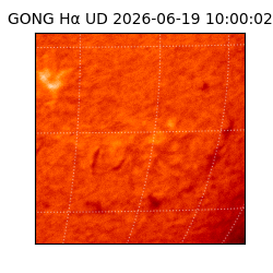 gong - 2026-06-19T10:00:02