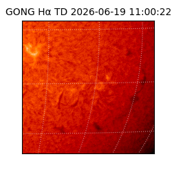 gong - 2026-06-19T11:00:22