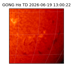 gong - 2026-06-19T13:00:22