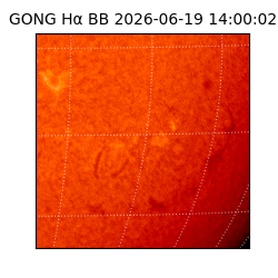 gong - 2026-06-19T14:00:02